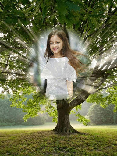 Tree Photo Frames screenshot 14