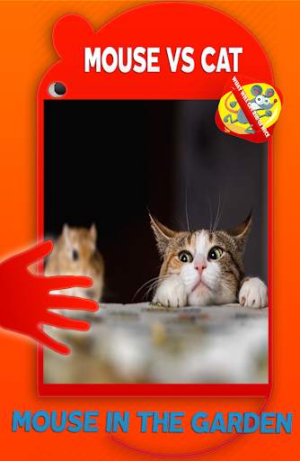 Mice In House 🇬🇧 screenshot 3