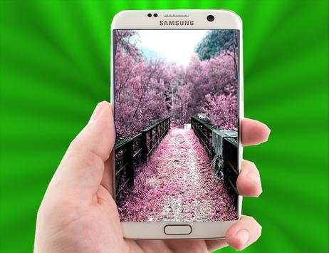 Sakura Live Wallpaper screenshot 4