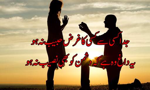 Urdu Poetry on Picture-Editor screenshot 2