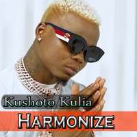 Kushoto Kulia by Harmonize - sin internet Mp3 logo