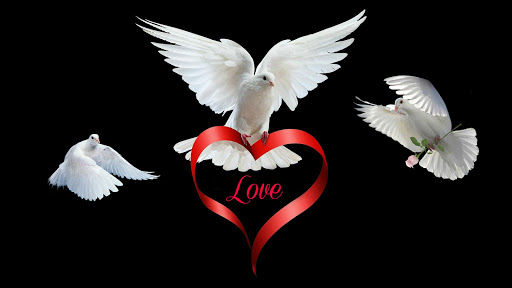 Valentine’s Day Live Wallpaper : 7fon & LWP screenshot 7