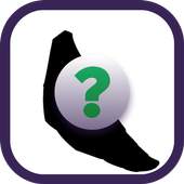 Guess Of Pokemon 2.1.3e