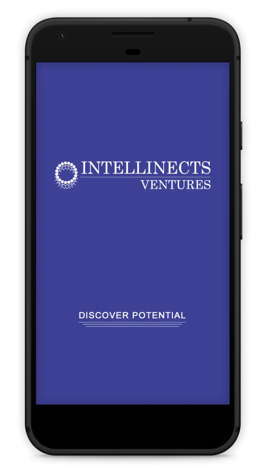 Intellinects Ventures screenshot 1