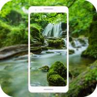 HD Forest Live Wallpaper logo