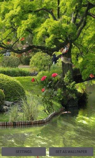 Birds Park Live Wallpaper screenshot 1