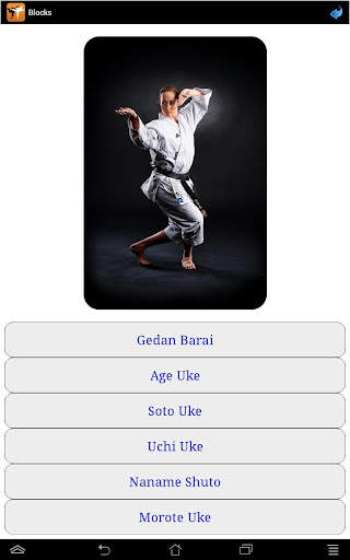 Karate in brief screenshot 19