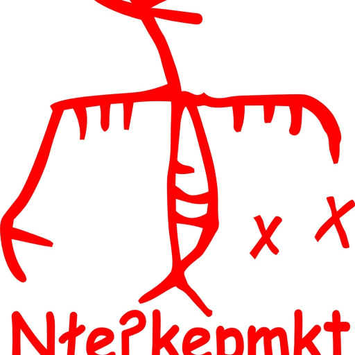 NLX Radio icon