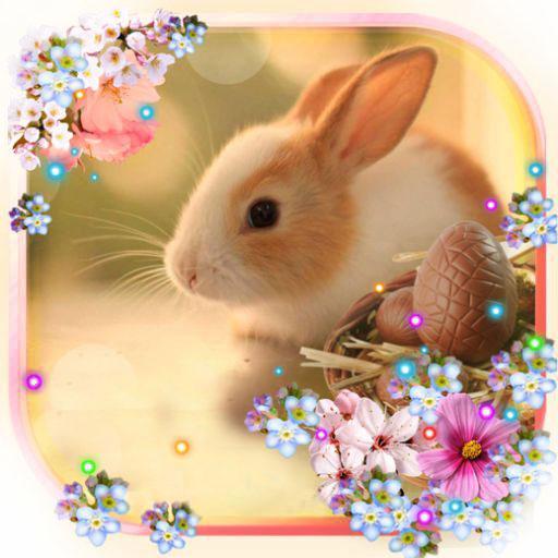 Easter Bunny Live wallpaper أيقونة