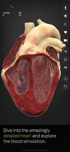 INSIGHT HEART Lite screenshot 4