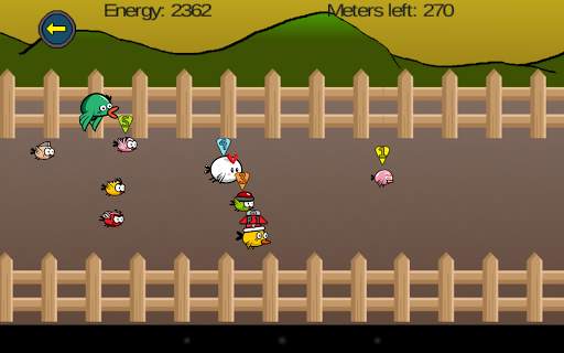 Bird Race स्क्रीनशॉट 2