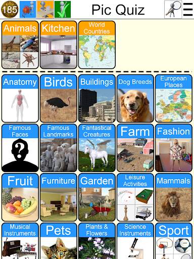 Pic Quiz screenshot 18