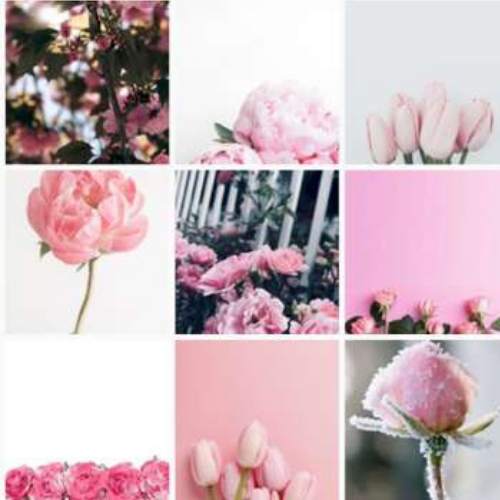 Pink Wallpapers   Pink Backgrounds screenshot 3