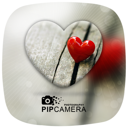 ikon PIP Camera