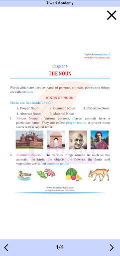 Class 3 English Grammar Book screenshot 6