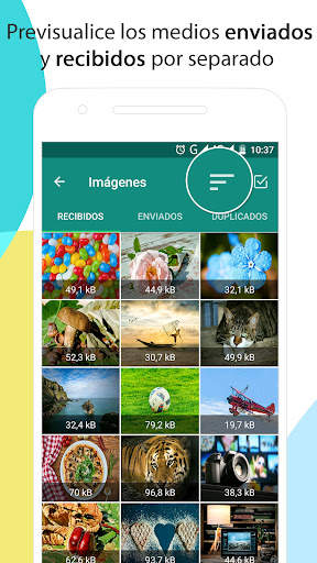 Limpiador para WhatsApp screenshot 2