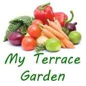 My Terrace Garden