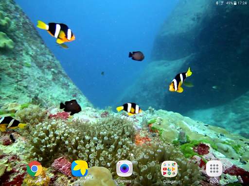 Colorful Fishes Live Wallpaper 11 تصوير الشاشة