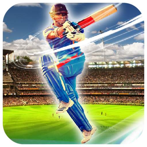Cricket 2024 13.0