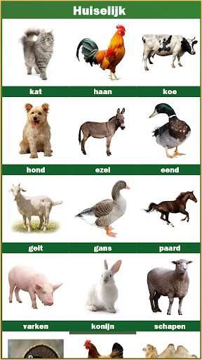 Dieren en vogels screenshot 5