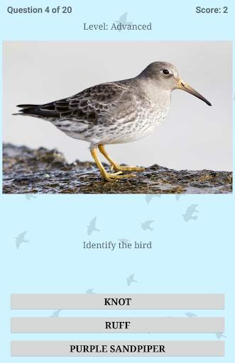 British Birds ID Quiz Pro screenshot 22