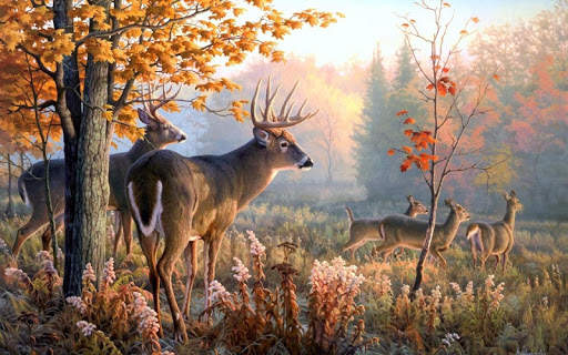 Forest Animal Wild Simulator screenshot 4
