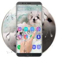 Cute Puppy Water Ripple LWP on 9Apps