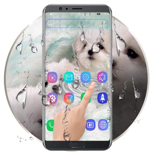 Cute Puppy Water Ripple LWP 3.3