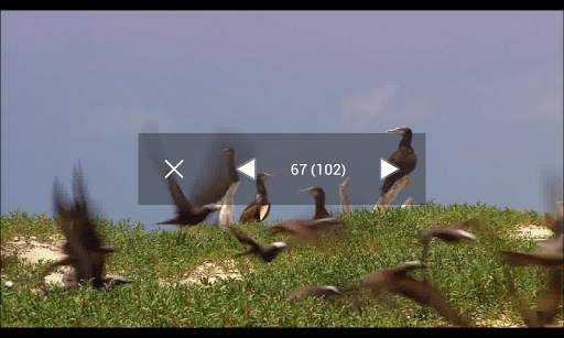 Auto Camera Shot Trial screenshot 7