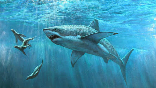 Blue Whale Game 3D 2018 screenshot 5