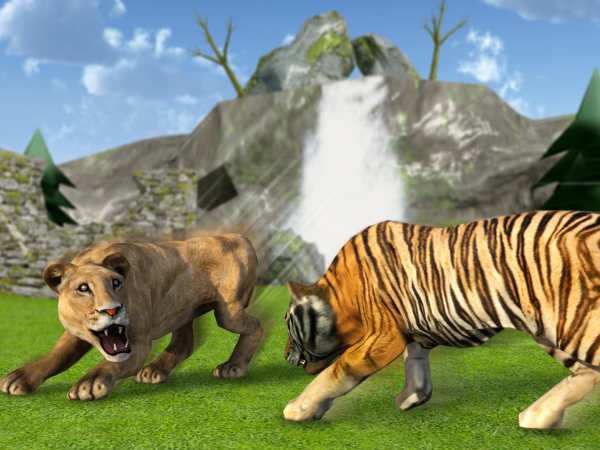 Big Cat Fighting Simulator 2018: Angry Wild Beasts screenshot 7