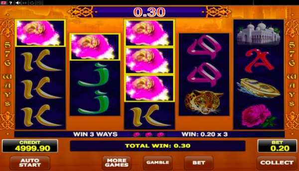 Golden Book Slot 2 تصوير الشاشة