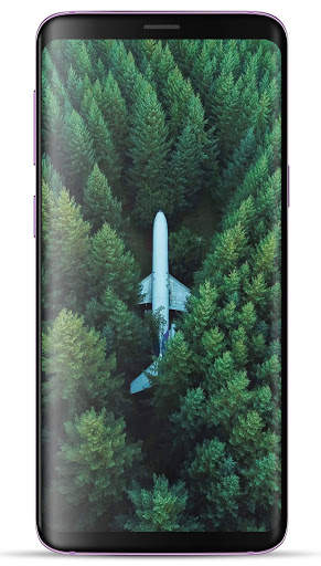 Forest Wallpaper HD screenshot 2