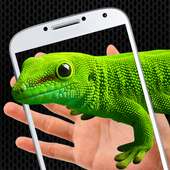 Lizard on phone funny prank
