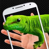 Lizard on phone funny prank 5