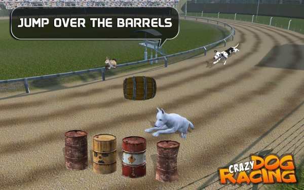 Crazy Dog Racing screenshot 6