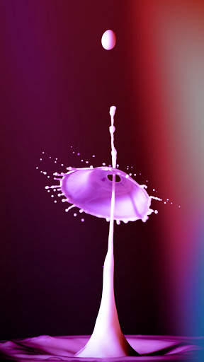 Macro HD Wallpaper screenshot 6