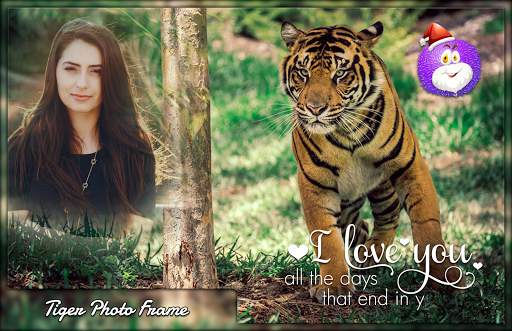 Tiger Photo Frames screenshot 3