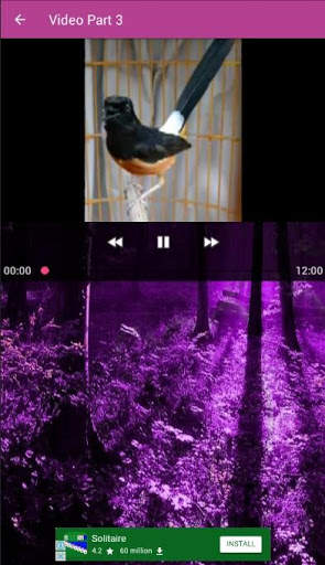 Suara Murai Batu Gacor screenshot 3