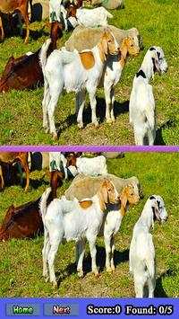Photo Difference Game Free screenshot 4