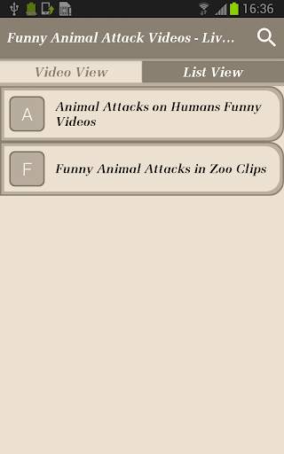 Funny Animal Attack Videos - Live Real Time Clips screenshot 3