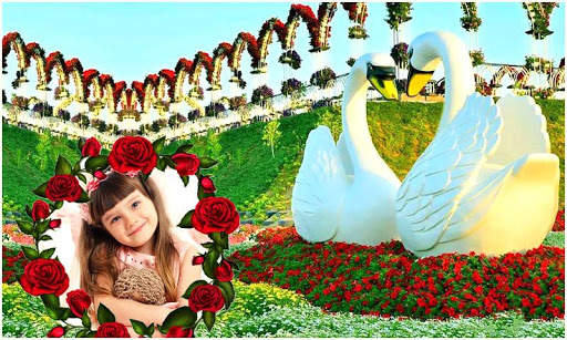 Beautiful Garden Photo Gallery скриншот 4