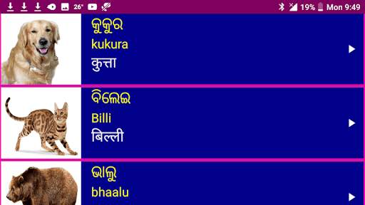 Learn Odia From Hindi скриншот 10