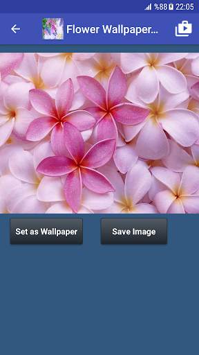 Flower Wallpapers screenshot 3