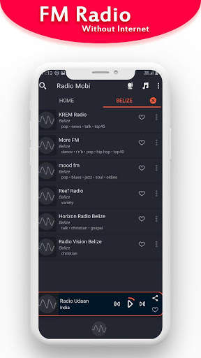 Radio Fm Without Internet - Wireless FM screenshot 4