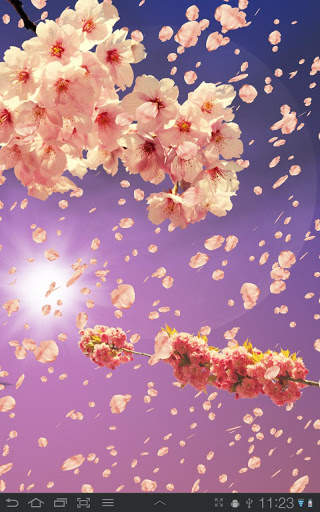 Sakura Free Live Wallpaper screenshot 2
