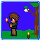 Guide Terraria 2017 anglais 3.2
