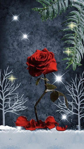 Red Rose Heart APUS Live Wallpaper screenshot 4