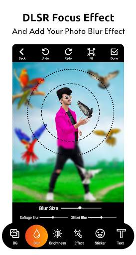 Bird Photo Editor скриншот 4