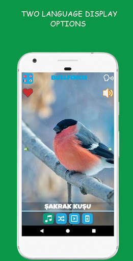 Animal Sounds screenshot 3